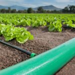 LD Lay-Flat Delivery Hose Pipe Plant12